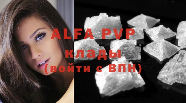 гашик Белокуриха