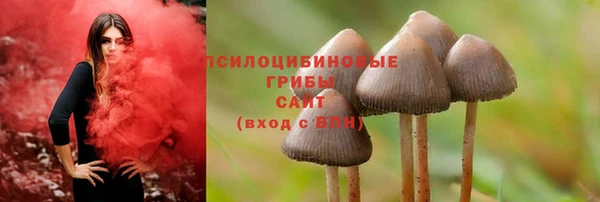 прущие крисы Белоозёрский