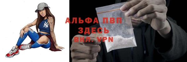 Альфа ПВП Беломорск