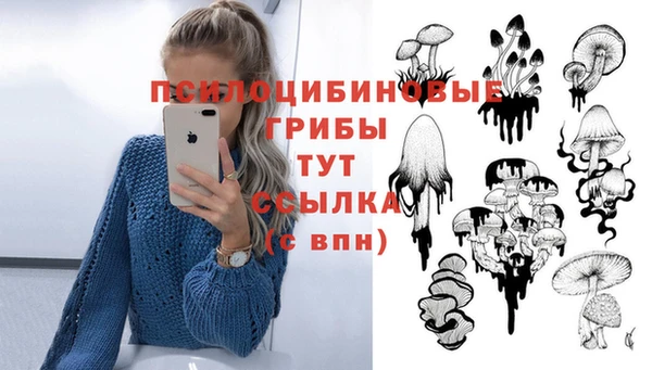прущие крисы Белоозёрский